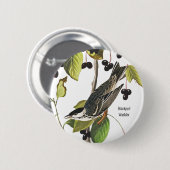 Badge Rond 5 Cm Paruline à polle noire, Audubon, Style Birder pour (Devant & derrière)
