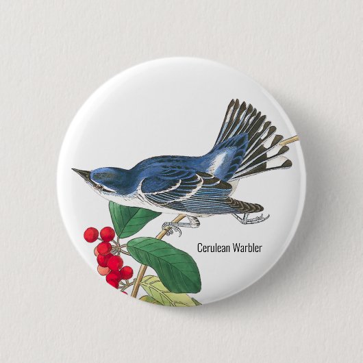 Badge Rond 5 Cm Paruline en Céruelle par Audubon, Oiseau de mode, (Devant)