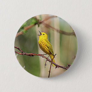 Badge Rond 5 Cm Paruline jaune chante