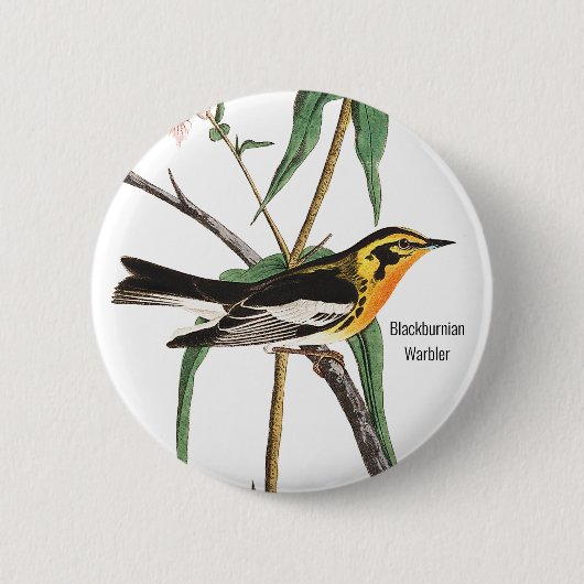 Badge Rond 5 Cm Paruline noire, Audubon, Oiseau sauvage, (Devant)