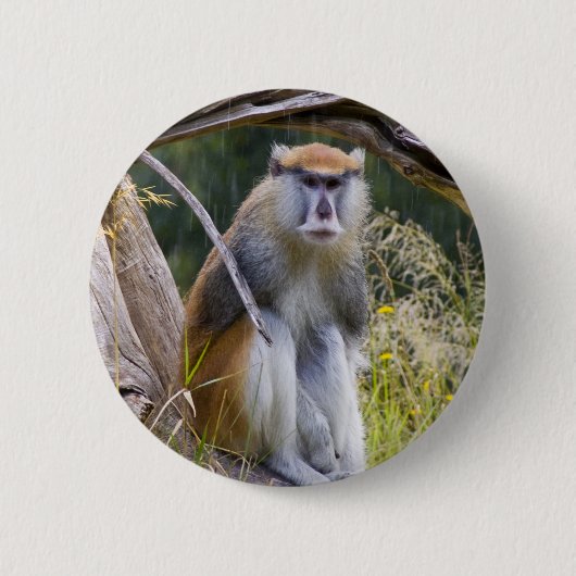 Badge Rond 5 Cm Patas Monkey (Devant)