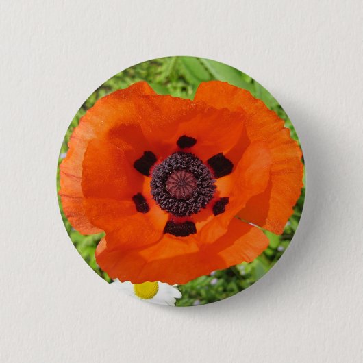 Badge Rond 5 Cm Pavot (Devant)