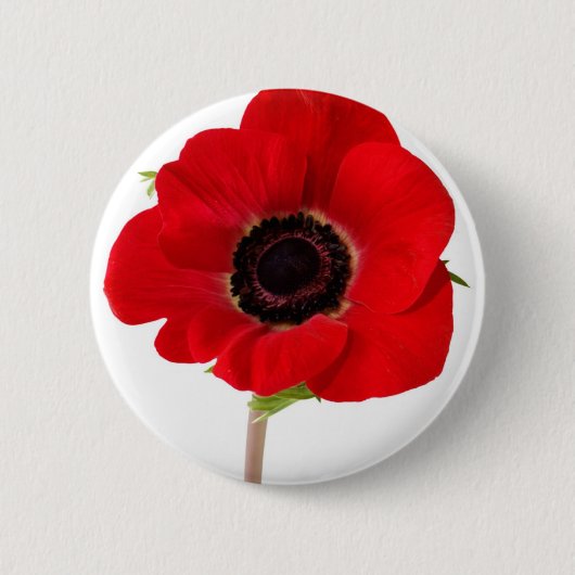Badge Rond 5 Cm PAVOT de souvenir (Devant)