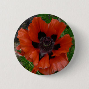 Badge Rond 5 Cm Pavot d'Orient