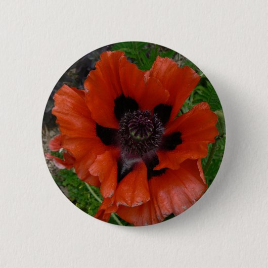 Badge Rond 5 Cm Pavot d'Orient (Devant)