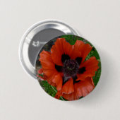 Badge Rond 5 Cm Pavot d'Orient (Devant & derrière)