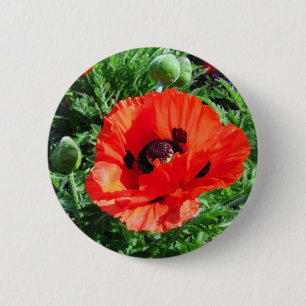 Badge Rond 5 Cm Pavot rouge - bouton