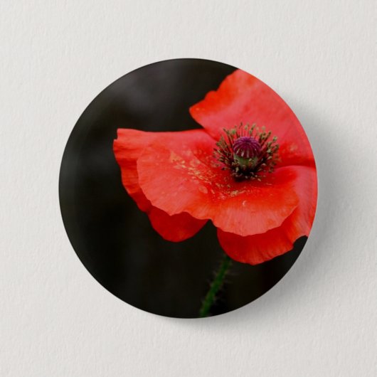 Badge Rond 5 Cm Pavot rouge brillant (Devant)