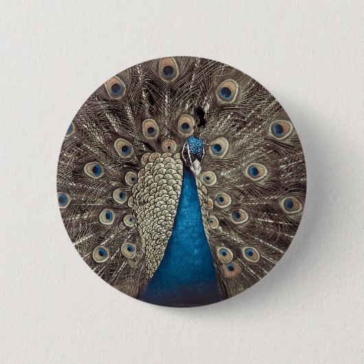 Badge Rond 5 Cm Peacock bleu antique (Devant)