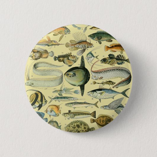 Badge Rond 5 Cm Pêche scientifique vintage (Devant)