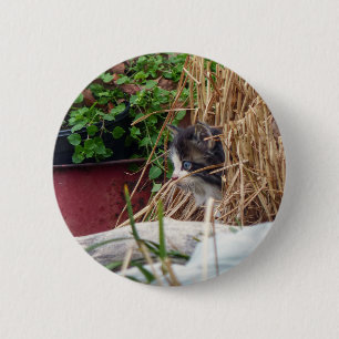 Badge Rond 5 Cm Peek-a-Boo