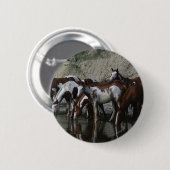 Badge Rond 5 Cm Peignez le boire de chevaux (Devant & derrière)