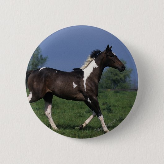 Badge Rond 5 Cm Peignez le cheval courant 2 (Devant)