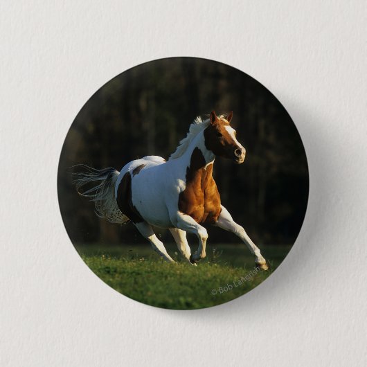 Badge Rond 5 Cm Peignez le cheval fonctionnant rapidement (Devant)
