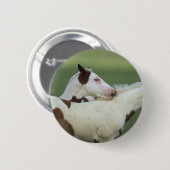 Badge Rond 5 Cm Peignez le jeu de poulains (Devant & derrière)