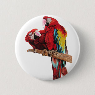 Badge Rond 5 Cm Peinture couleur rouge Macaw Aquarelle