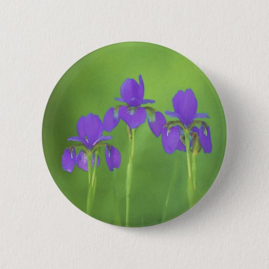 Badge Rond 5 Cm Peinture Iris Violet - Art Fleur Originale (Devant)