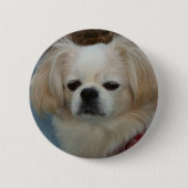 Badge Rond 5 Cm Pekingese mignon (Devant)