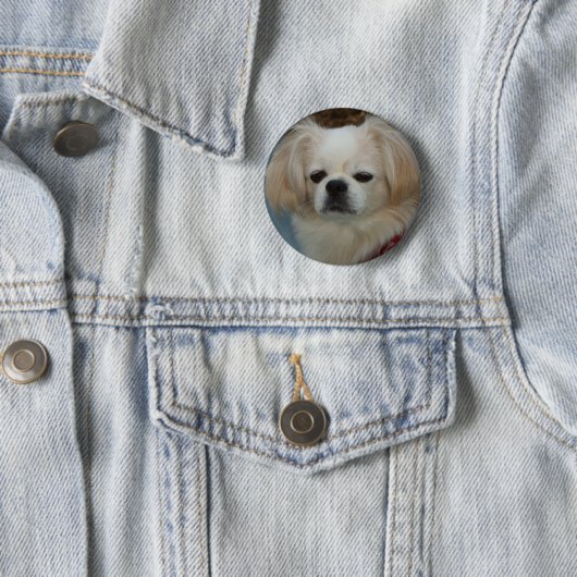 Badge Rond 5 Cm Pekingese mignon (En situation)
