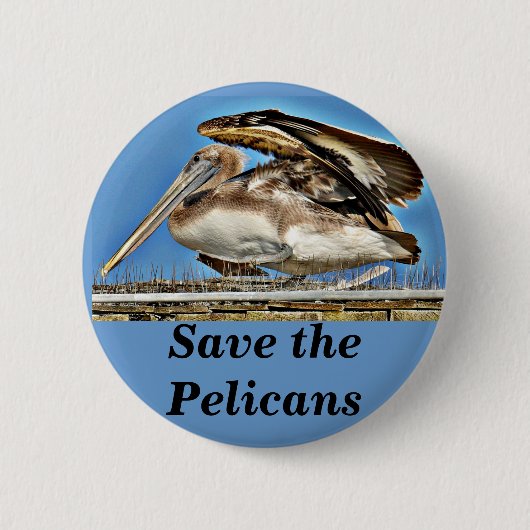 Badge Rond 5 Cm Pelican_ (Devant)