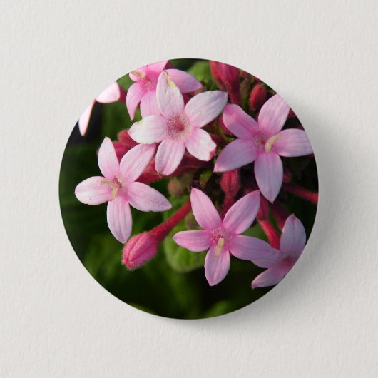 Badge Rond 5 Cm Pentas (Devant)