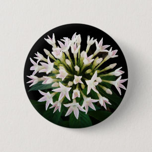 Badge Rond 5 Cm Pentas blancs