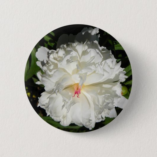 Badge Rond 5 Cm peony gros plan Paeonia lactiflora (Devant)