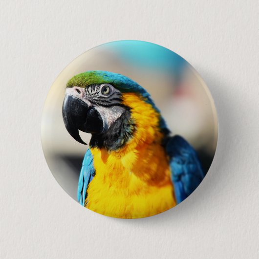Badge Rond 5 Cm perroquet (Devant)