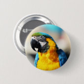 Badge Rond 5 Cm perroquet (Devant & derrière)