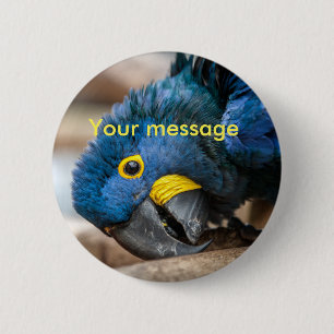 Badge Rond 5 Cm Perroquet bleu d'ara de jacinthe de bouton de