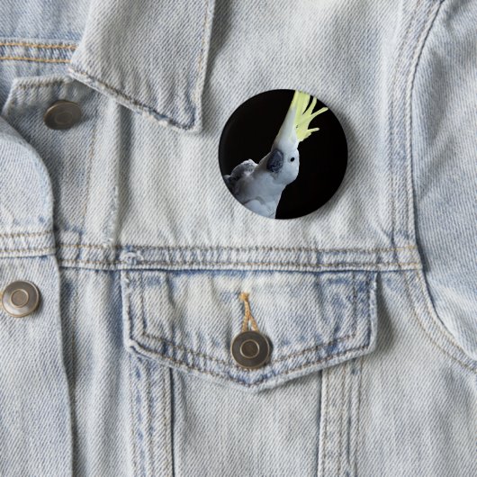 Badge Rond 5 Cm Perroquet de cacatoès (En situation)