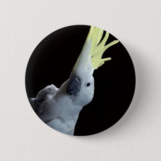 Badge Rond 5 Cm Perroquet de cacatoès
