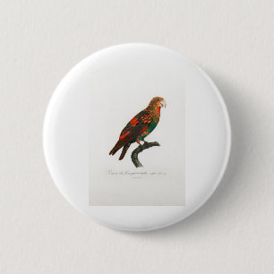 Badge Rond 5 Cm perroquet de macaw