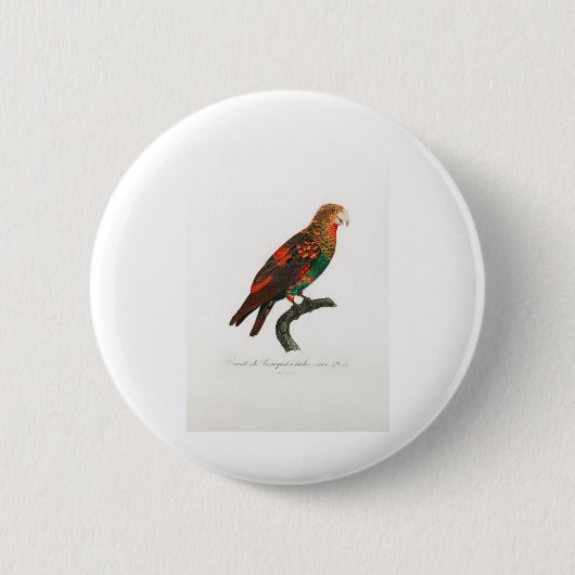 Badge Rond 5 Cm perroquet de macaw (Devant)