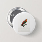 Badge Rond 5 Cm perroquet de macaw (Devant & derrière)
