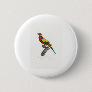 Badge Rond 5 Cm perroquet de macaw