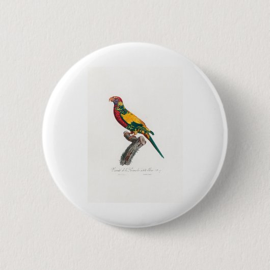 Badge Rond 5 Cm perroquet de macaw (Devant)