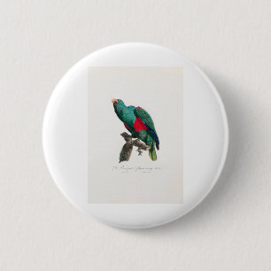 Badge Rond 5 Cm perroquet de macaw