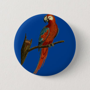 Badge Rond 5 Cm Perroquet de rouge d'arums