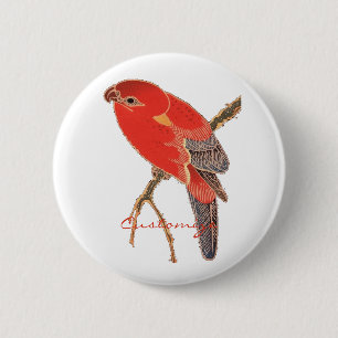 Badge Rond 5 Cm Perroquet rouge tropical Thunder_Cove
