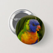 Badge Rond 5 Cm Perruche colorée (Devant & derrière)