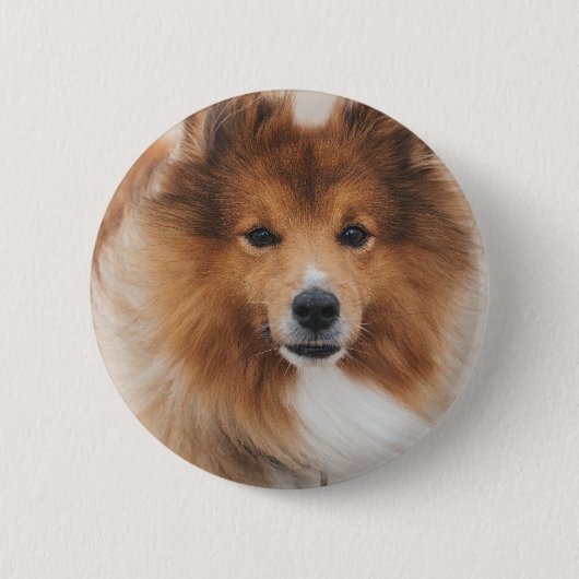 Badge Rond 5 Cm Personalized Pet Dog Lover Photo (Devant)