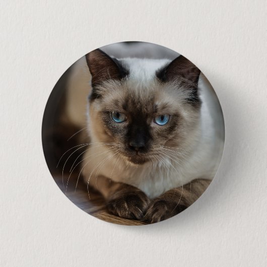 Badge Rond 5 Cm Personnalisé Pet Cat Image Ajouter Votre Propre Ph (Devant)