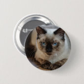 Badge Rond 5 Cm Personnalisé Pet Cat Image Ajouter Votre Propre Ph (Devant & derrière)