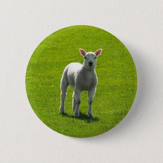 Badge Rond 5 Cm Petit agneau (Devant)