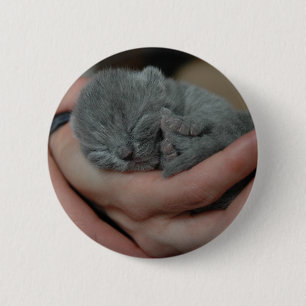 Badge Rond 5 Cm Petit Bébé bleu Kitten