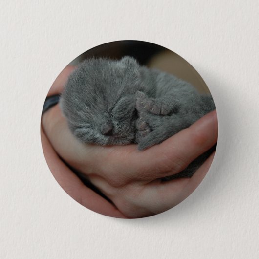 Badge Rond 5 Cm Petit Bébé bleu Kitten (Devant)