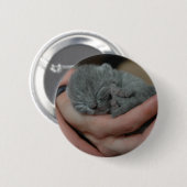 Badge Rond 5 Cm Petit Bébé bleu Kitten (Devant & derrière)