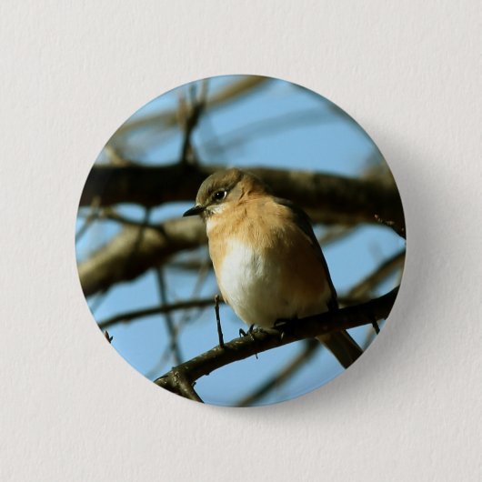 Badge Rond 5 Cm Petit bleu (Devant)