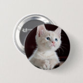Badge Rond 5 Cm Petit chaton blanc (Devant & derrière)